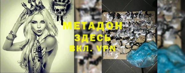 гашик Алексин