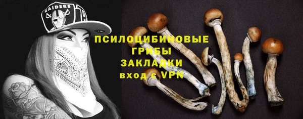 гашик Алексин
