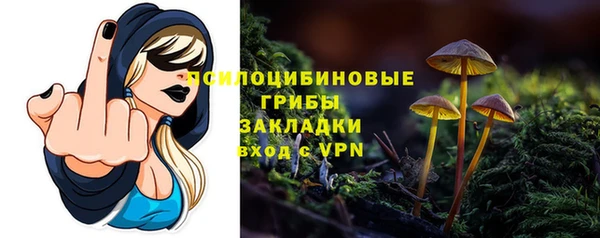 мяу мяу мука Алзамай