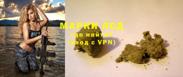 гашик Алексин