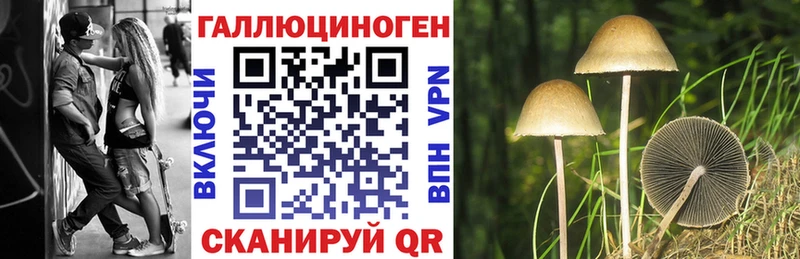 Галлюциногенные грибы Psilocybe купить наркотик Нижний Ломов